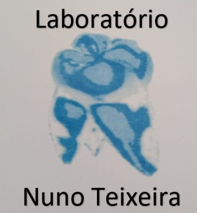 NUNO ALEXANDRE ALVES DE MENDONÇA TEIXEIRA